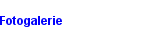 Fotogalerie